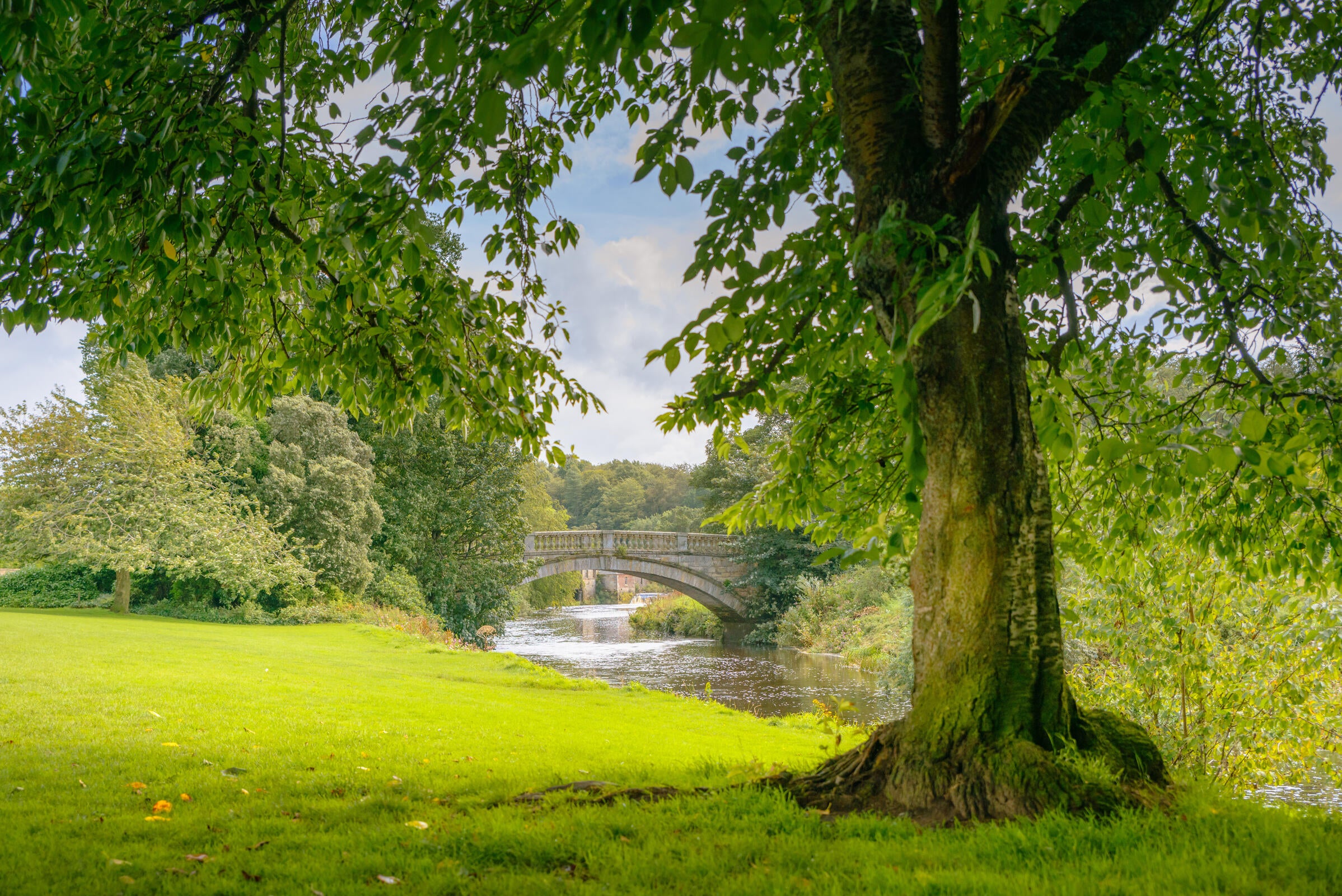 how-to-spend-a-day-in-glasgow-s-southside-the-city-s-foodie-hotspot